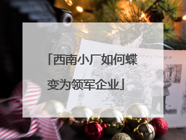西南小厂如何蝶变为领军企业