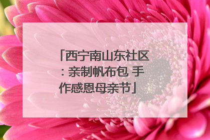 西宁南山东社区：亲制帆布包 手作感恩母亲节