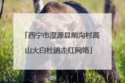 西宁市湟源县前沟村高山大白杜鹃走红网络