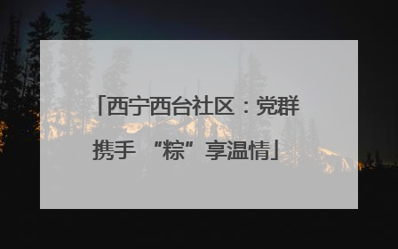 西宁西台社区：党群携手 “粽”享温情