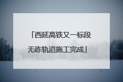 西延高铁又一标段无砟轨道施工完成