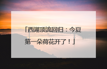 西湖顶流回归：今夏第一朵荷花开了！