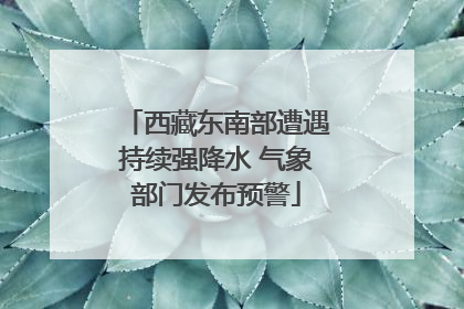 西藏东南部遭遇持续强降水 气象部门发布预警