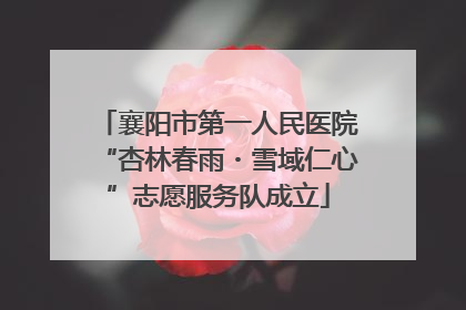 襄阳市第一人民医院“杏林春雨・雪域仁心”志愿服务队成立