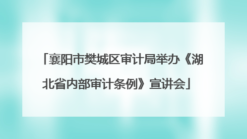 襄阳市樊城区审计局举办《湖北省内部审计条例》宣讲会