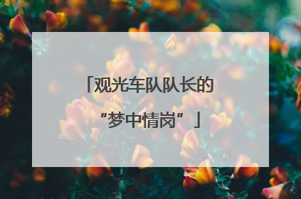 观光车队队长的“梦中情岗”