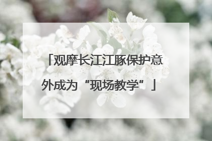 观摩长江江豚保护意外成为“现场教学”
