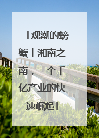 观潮的螃蟹丨湘南之南，一个千亿产业的快速崛起