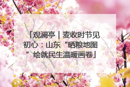 观澜亭｜麦收时节见初心：山东“晒粮地图”绘就民生温暖画卷
