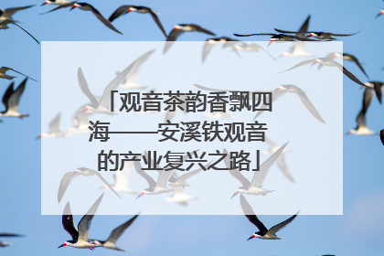 观音茶韵香飘四海——安溪铁观音的产业复兴之路