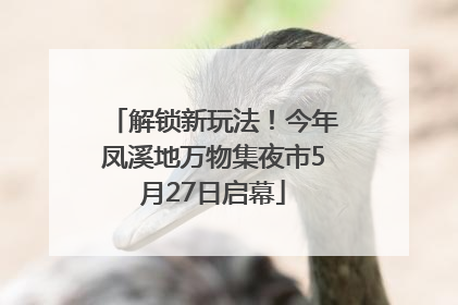 解锁新玩法！今年凤溪地万物集夜市5月27日启幕