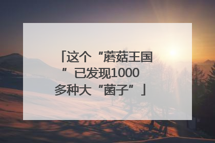 这个“蘑菇王国”已发现1000多种大“菌子”