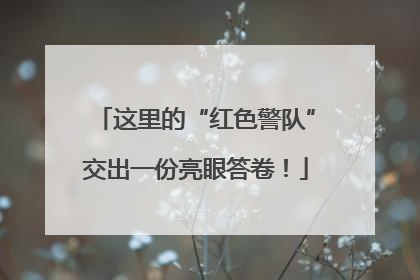 这里的“红色警队”交出一份亮眼答卷！