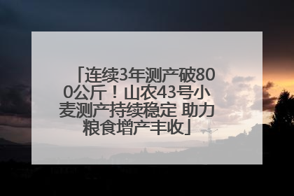 连续3年测产破800公斤！山农43号小麦测产持续稳定 助力粮食增产丰收