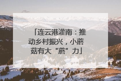连云港灌南：推动乡村振兴，小蘑菇有大“蘑”力