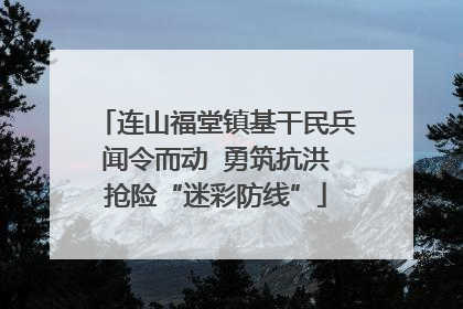 连山福堂镇基干民兵闻令而动  勇筑抗洪抢险“迷彩防线”