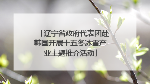 辽宁省政府代表团赴韩国开展十五冬冰雪产业主题推介活动