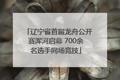 辽宁省首届龙舟公开赛浑河启幕 700余名选手同场竞技