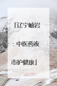 辽宁岫岩：中医药夜市护健康