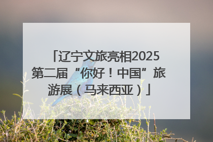 辽宁文旅亮相2025第二届“你好！中国”旅游展（马来西亚）