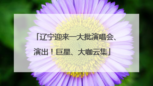 辽宁迎来一大批演唱会、演出！巨星、大咖云集