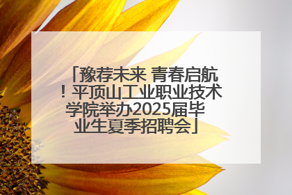 豫荐未来 青春启航！平顶山工业职业技术学院举办2025届毕业生夏季招聘会