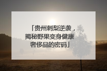 贵州刺梨逆袭，揭秘野果变身健康奢侈品的密码