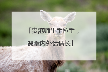 贵港师生手拉手，课堂内外话情长