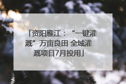 资阳雁江：“一键灌溉”万亩良田 全域灌溉项目7月投用