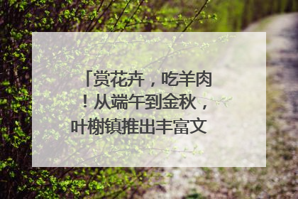赏花卉，吃羊肉！从端午到金秋，叶榭镇推出丰富文旅活动邀您爽玩
