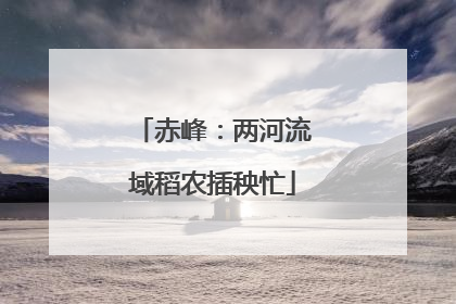 赤峰：两河流域稻农插秧忙