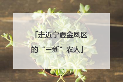 走近宁夏金凤区的“三新”农人