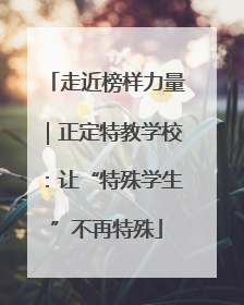 走近榜样力量｜正定特教学校：让“特殊学生”不再特殊