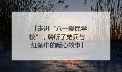 走进“八一爱民学校”，聆听子弟兵与红领巾的暖心故事