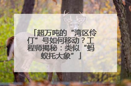 超万吨的“湾区伶仃”号如何移动？工程师揭秘：类似“蚂蚁托大象”