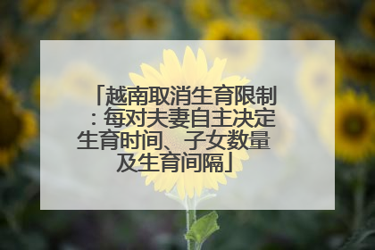 越南取消生育限制：每对夫妻自主决定生育时间、子女数量及生育间隔