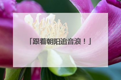 跟着朝阳追音浪！