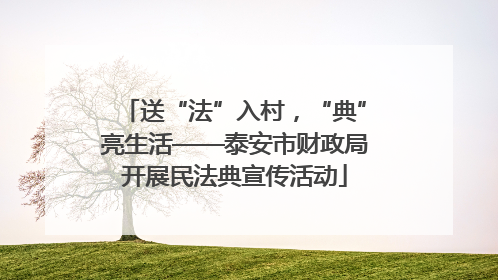 送“法”入村，“典”亮生活——泰安市财政局开展民法典宣传活动