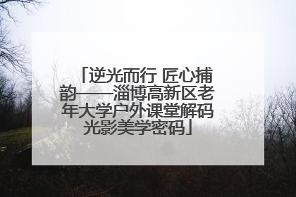 逆光而行 匠心捕韵——淄博高新区老年大学户外课堂解码光影美学密码
