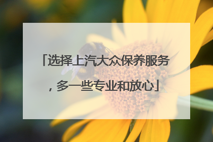 选择上汽大众保养服务，多一些专业和放心