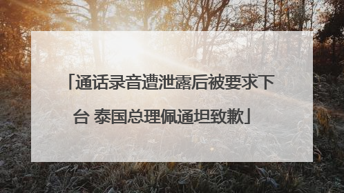 通话录音遭泄露后被要求下台 泰国总理佩通坦致歉