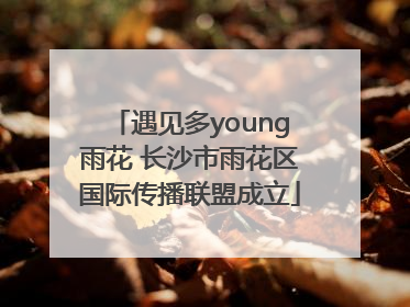 遇见多young雨花 长沙市雨花区国际传播联盟成立