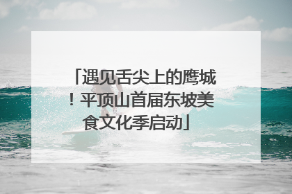 遇见舌尖上的鹰城！平顶山首届东坡美食文化季启动