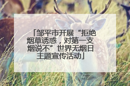 邹平市开展“拒绝烟草诱惑，对第一支烟说不”世界无烟日主题宣传活动