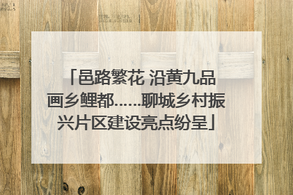 邑路繁花 沿黄九品 画乡鲤都……聊城乡村振兴片区建设亮点纷呈