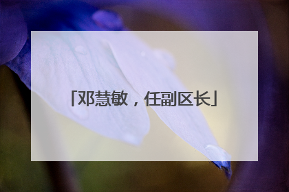 邓慧敏，任副区长