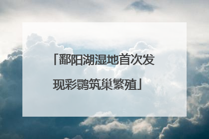 鄱阳湖湿地首次发现彩鹮筑巢繁殖