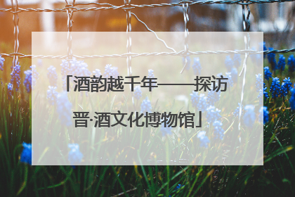酒韵越千年——探访晋·酒文化博物馆