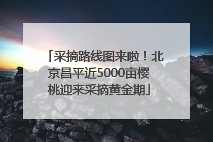 采摘路线图来啦！北京昌平近5000亩樱桃迎来采摘黄金期
