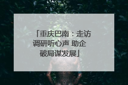重庆巴南：走访调研听心声 助企破局谋发展